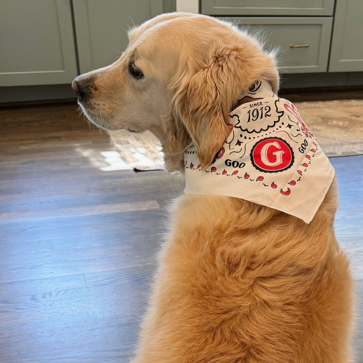 Mascot Bandana